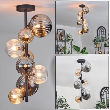 Chehalis Lámpara de Techo - Cristal 10 cm, 12cm, 15cm Colores ámbar, Transparente, Ahumado, 8 luces