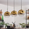 Ripoll Lámpara Colgante - Szkło 30 cm dorado, Transparente, 3 luces