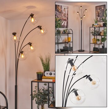 Gastor Lámpara de Pie - Cristal 15 cm Transparente, 5 luces