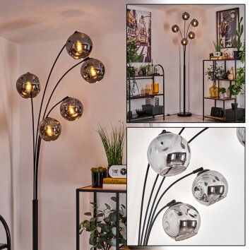 Ripoll Lámpara de Pie - Cristal 15 cm Ahumado, 5 luces