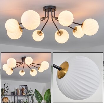 Chehalis Lámpara de Techo - Cristal 12 cm, 15 cm dorado, Negro, 8 luces