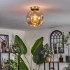 Ripoll Lámpara de Techo - Cristal 25 cm dorado, Negro, 1 luz