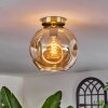 Ripoll Lámpara de Techo - Cristal 25 cm dorado, Negro, 1 luz