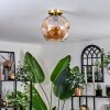 Ripoll Lámpara de Techo - Cristal 25 cm dorado, Negro, 1 luz