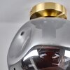 Ripoll Lámpara de Techo - Szkło 25 cm dorado, Negro, 1 luz