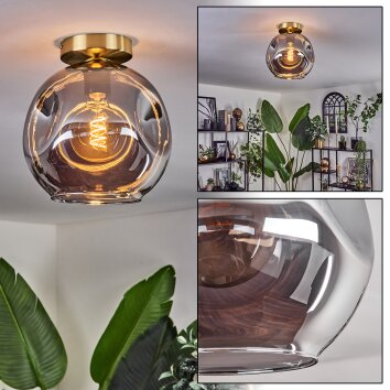 Ripoll Lámpara de Techo - Cristal 25 cm dorado, Negro, 1 luz