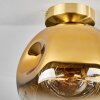 Ripoll Lámpara de Techo - Szkło 25 cm dorado, Negro, 1 luz