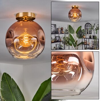 Ripoll Lámpara de Techo - Cristal 25 cm dorado, Negro, 1 luz