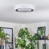 Kaas Lámpara de Techo LED Cromo, Blanca, 1 luz