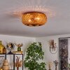 Bauro Lámpara de Techo 30 cm Negro, 2 luces