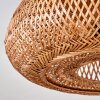 Bauro Lámpara de Techo 50 cm Negro, 2 luces