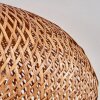 Bauro Lámpara de Techo 50 cm Negro, 2 luces