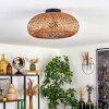 Bauro Lámpara de Techo 40 cm Negro, 2 luces