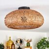 Bauro Lámpara de Techo 40 cm Negro, 2 luces