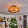 Bauro Lámpara de Techo 40 cm Negro, 2 luces
