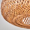 Bauro Lámpara de Techo 30 cm Negro, 1 luz