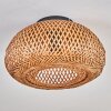 Bauro Lámpara de Techo 30 cm Negro, 1 luz