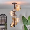 Chehalis Lámpara de Techo - Cristal 10 cm, 12 cm, 15cm Colores ámbar, Transparente, Ahumado, 8 luces