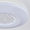 Kaas Lámpara de Techo LED Cromo, Blanca, 1 luz