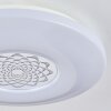 Kaas Lámpara de Techo LED Cromo, Blanca, 1 luz