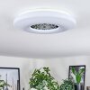 Kaas Lámpara de Techo LED Cromo, Blanca, 1 luz