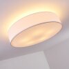 Skelbaek Lámpara de Techo Níquel-mate, 5 luces