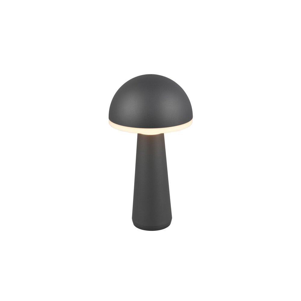 Reality FUNGO Lámpara de mesa LED Antracita, 1 luz main product photo