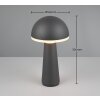 Reality FUNGO Lámpara de mesa LED Antracita, 1 luz