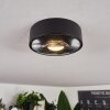 Grayan Lámpara de Techo LED Negro, 1 luz