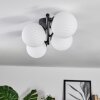 Chehalis Plafones Blanca, 4 luces