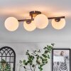 Chehalis Plafones Blanca, 4 luces