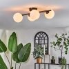 Chehalis Plafones Blanca, 4 luces