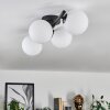 Chehalis Plafones Blanca, 4 luces