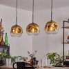 Ripoll Lámparas suspendidas dorado, Transparente, 3 luces