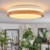 Sofo Plafones LED Blanca, 1 luz