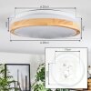Sofo Plafones LED Blanca, 1 luz
