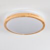 Sofo Plafones LED Blanca, 1 luz