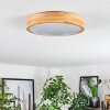 Sofo Plafones LED Blanca, 1 luz