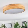Sofo Plafones LED Blanca, 1 luz