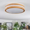 Sofo Plafones LED Blanca, 1 luz