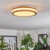 Sofo Plafones LED Blanca, 1 luz