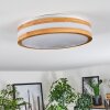 Sofo Plafones LED Blanca, 1 luz