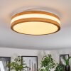 Sofo Plafones LED Blanca, 1 luz
