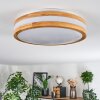Sofo Plafones LED Blanca, 1 luz