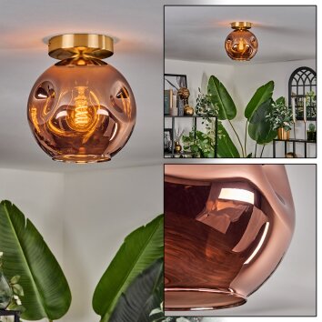 Ripoll Plafones dorado, Negro, 1 luz