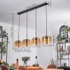 Lauden Lámparas suspendidas Colores ámbar, Transparente, 4 luces