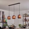 Ripoll Lámparas suspendidas Negro, 3 luces