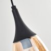 Maynal Lámparas suspendidas Negro, 6 luces