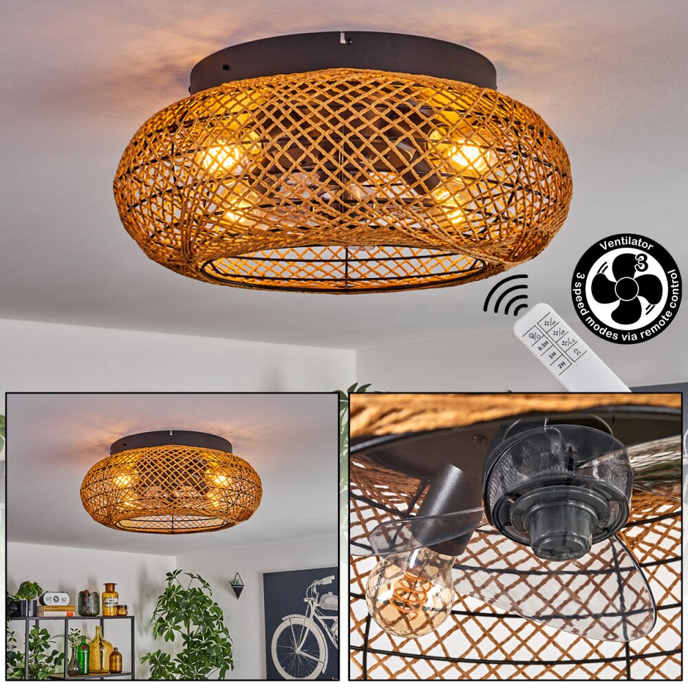 Fallhagen Plafones, lámpara ventilador de techo Negro, 4 luces, Mando a distancia main product photo