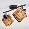Cando Plafones Negro, 2 luces